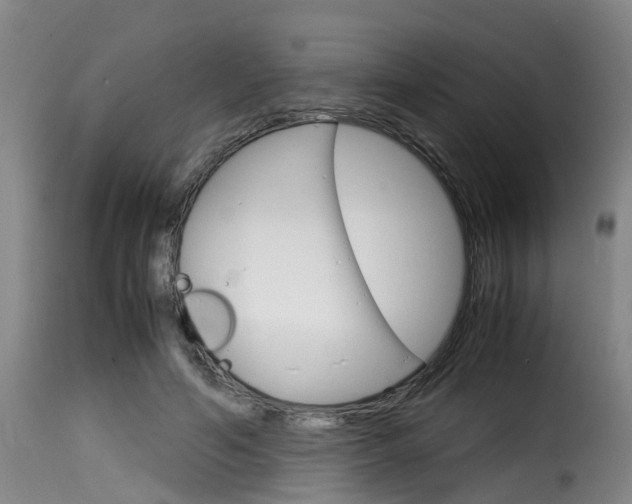 X0000116060594200911201202
