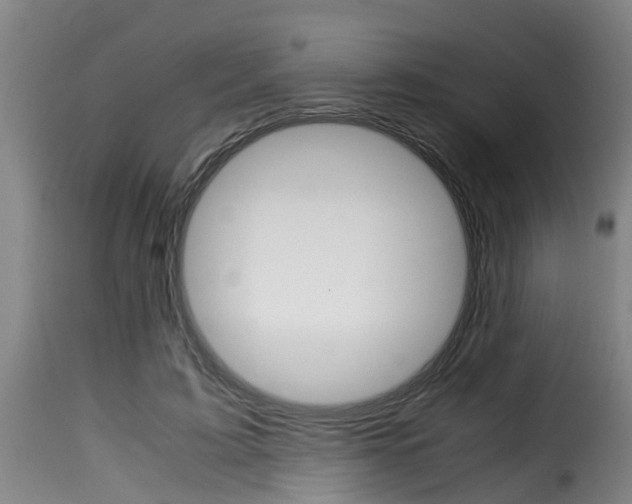 X0000116060595200911201202