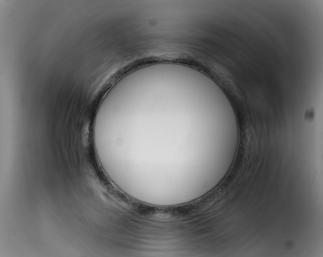 X0000116060596200911201202