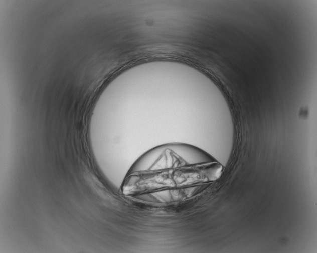 X0000116060597200911201202