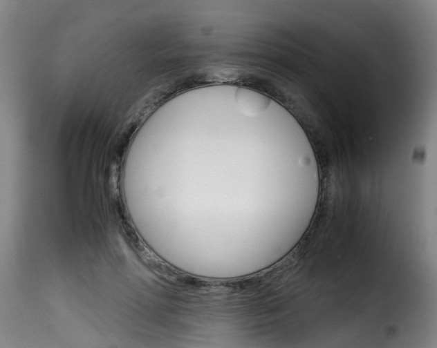X0000116060598200911201202