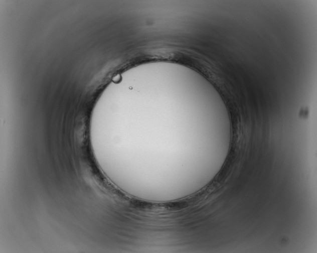 X0000116060600200911201202