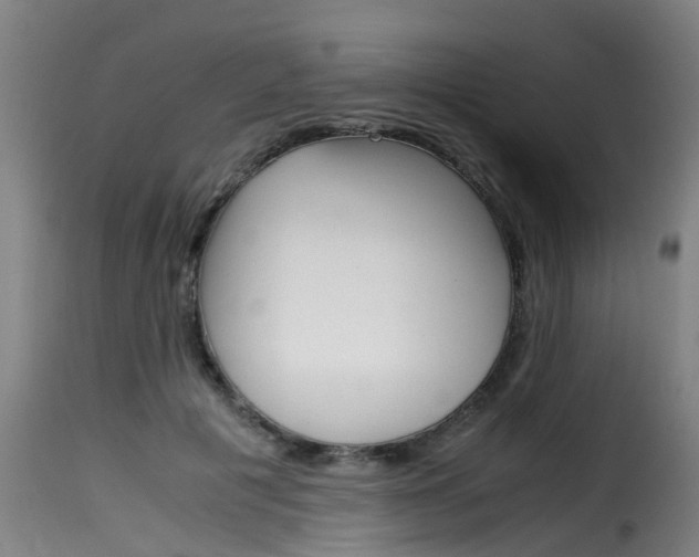 X0000116060601200911201202