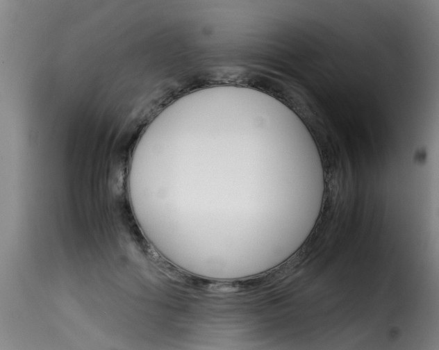 X0000116060602200911201202