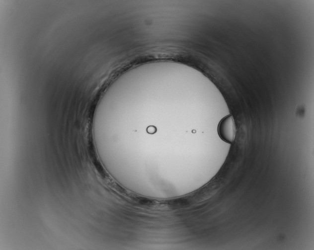 X0000116060604200911201202