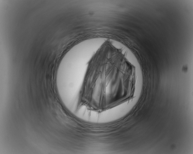 X0000116060605200911201202