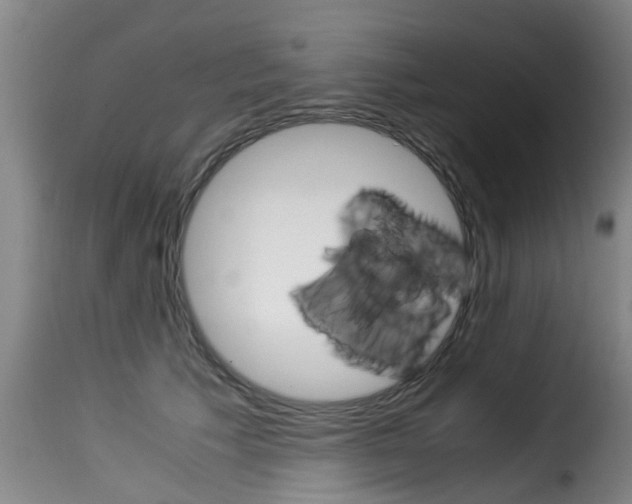 X0000116060609200911201202