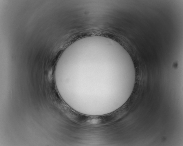 X0000116060610200911201202