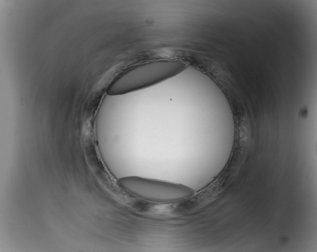 X0000116060611200911201202