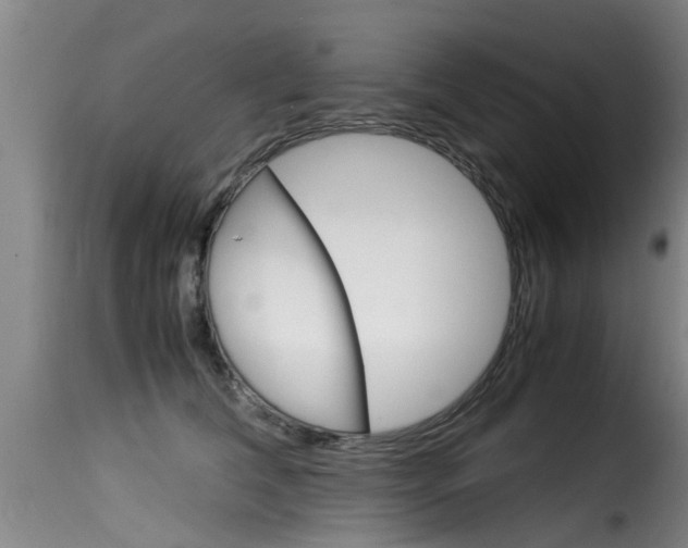 X0000116060612200911201202