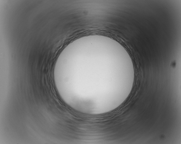 X0000116060613200911201202