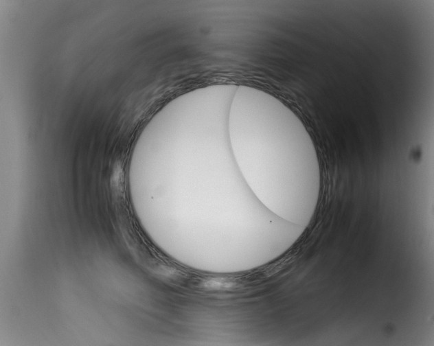X0000116060614200911201202