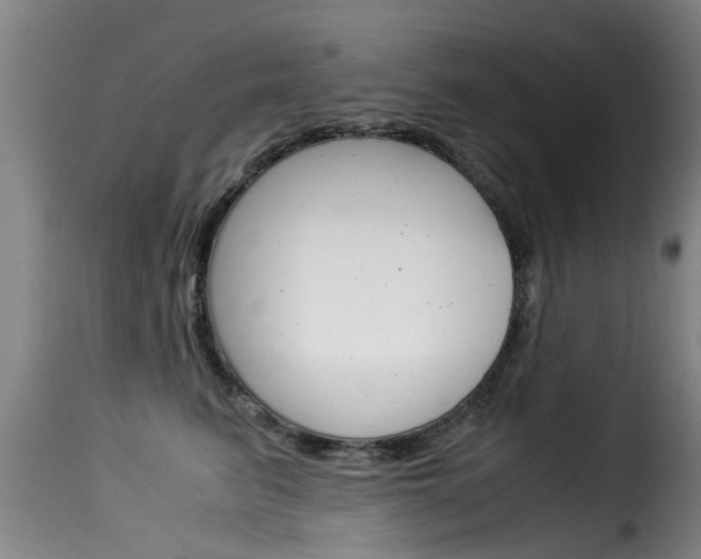 X0000116060615200911201202