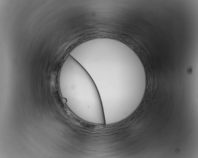 X0000116060616200911201202