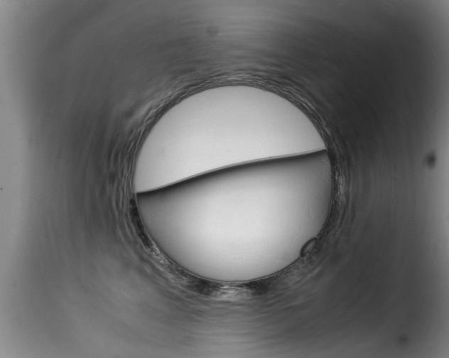 X0000116060617200911201202