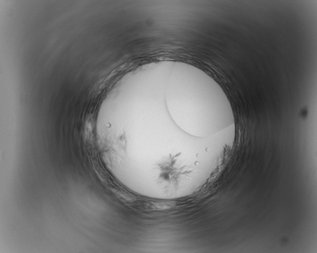 X0000116060618200911201202