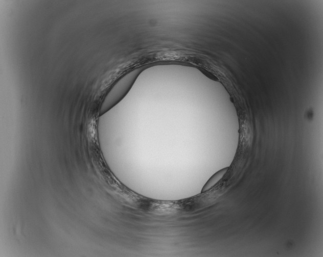 X0000116060621200911201202
