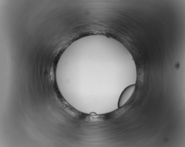 X0000116060622200911201202
