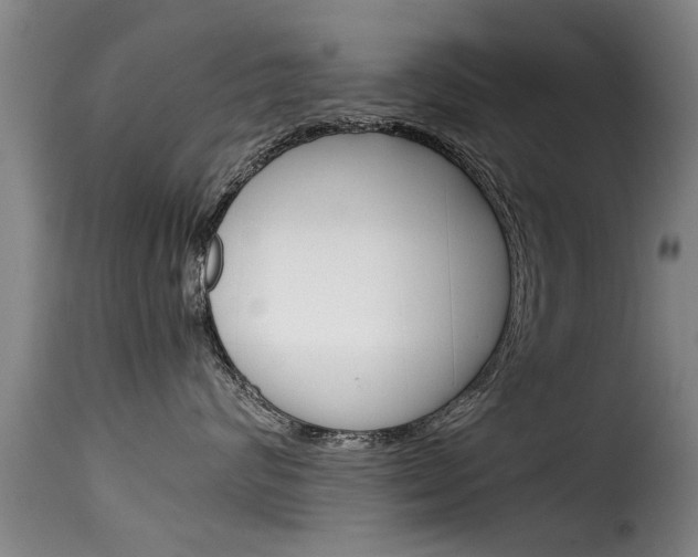 X0000116060624200911201202