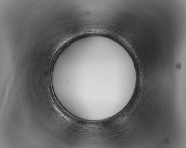 X0000116060625200911201201