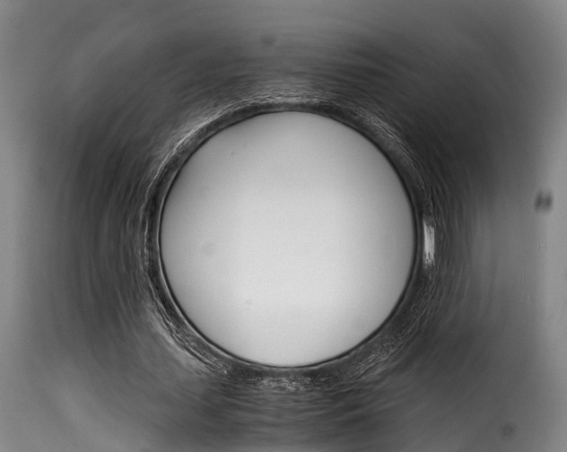 X0000116060627200911201201