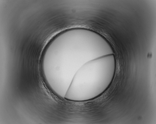 X0000116060628200911201201