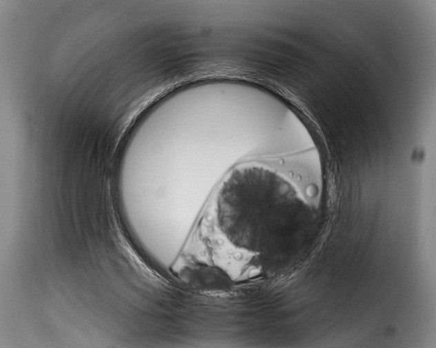 X0000116060629200911201201