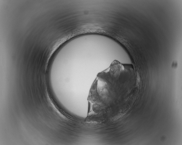 X0000116060630200911201201