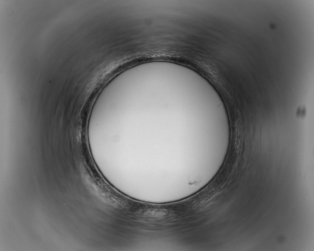 X0000116060631200911201201