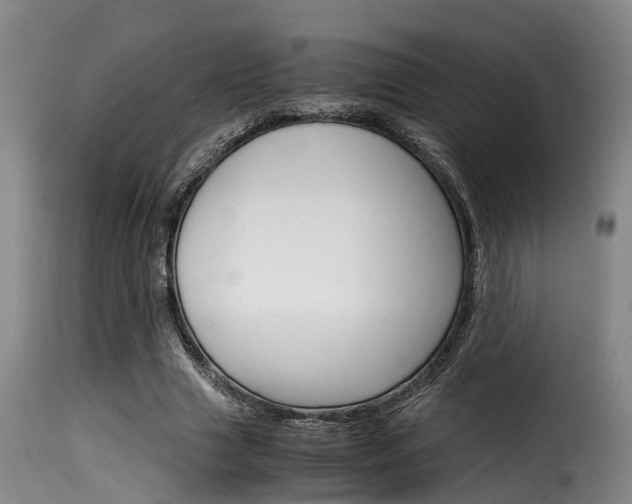 X0000116060633200911201201