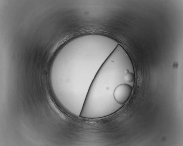 X0000116060634200911201201