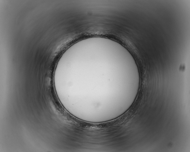 X0000116060635200911201201