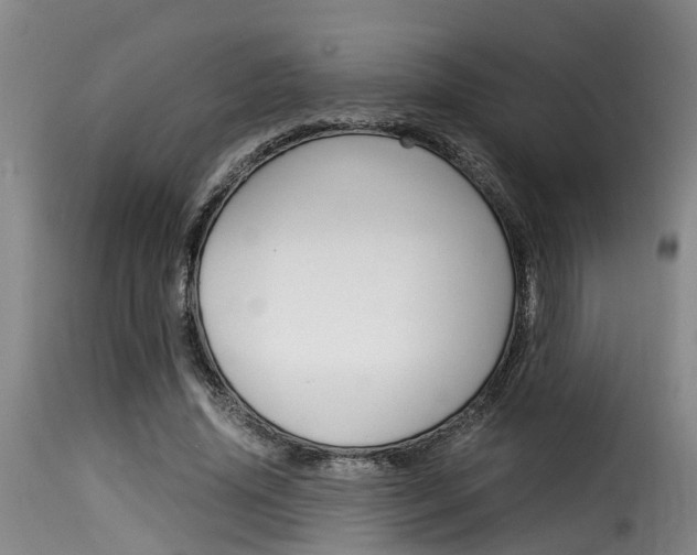 X0000116060636200911201201