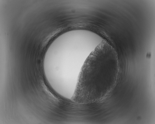 X0000116060637200911201201