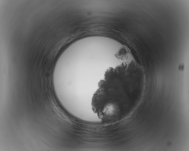 X0000116060641200911201201