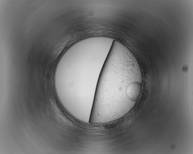 X0000116060642200911201201