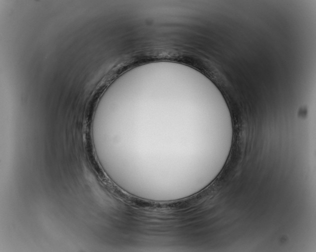 X0000116060643200911201201