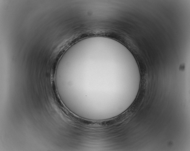 X0000116060644200911201201