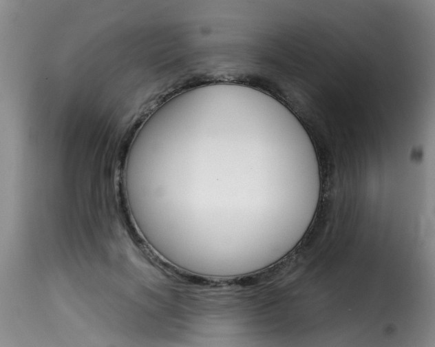 X0000116060646200911201201