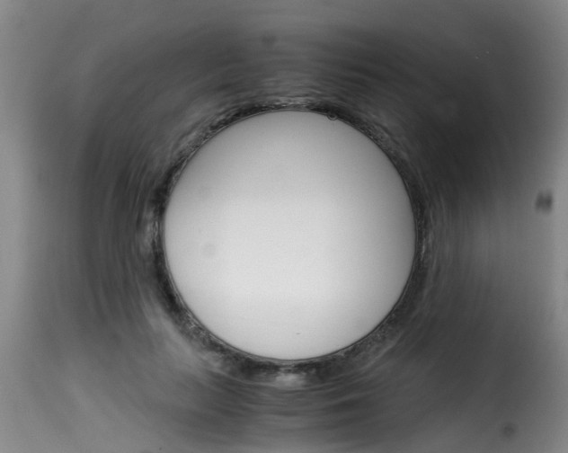 X0000116060647200911201201