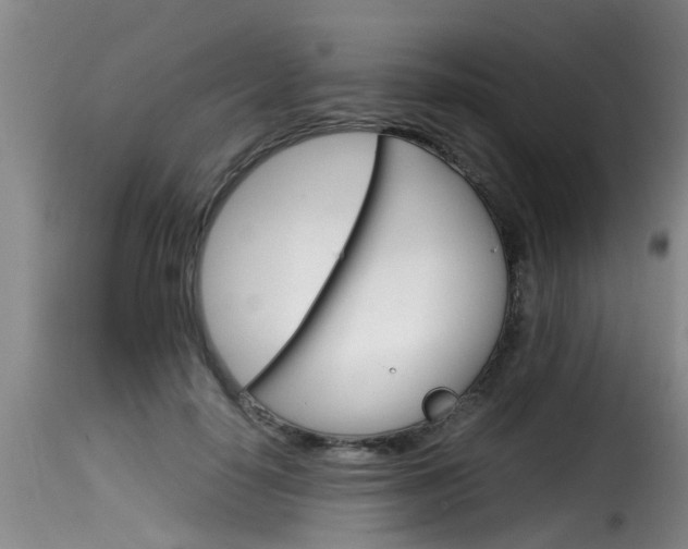 X0000116060650200911201201
