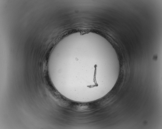 X0000116060651200911201202