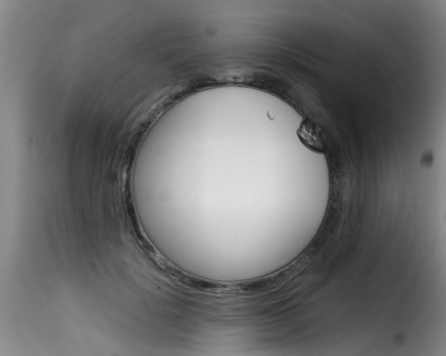 X0000116060652200911201202