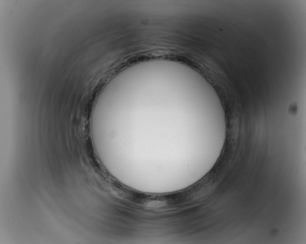 X0000116060653200911201202