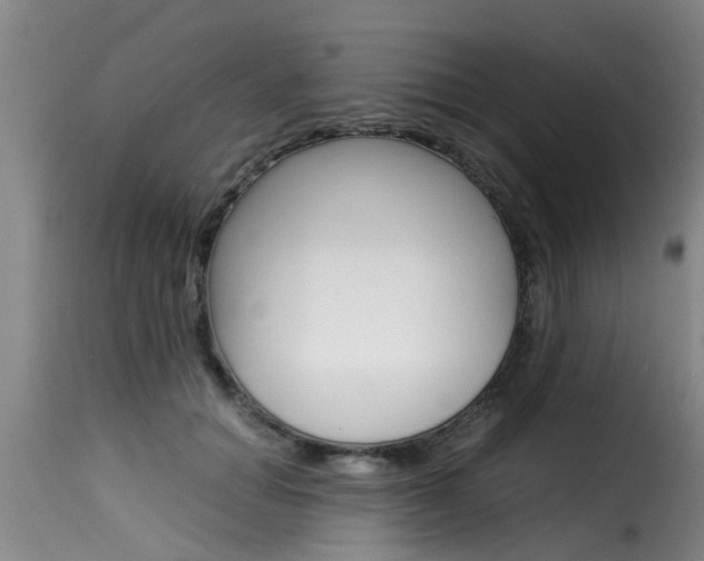 X0000116060654200911201202