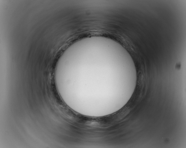 X0000116060655200911201202