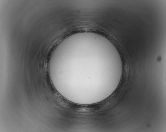 X0000116060657200911201202