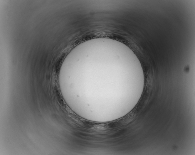 X0000116060659200911201202