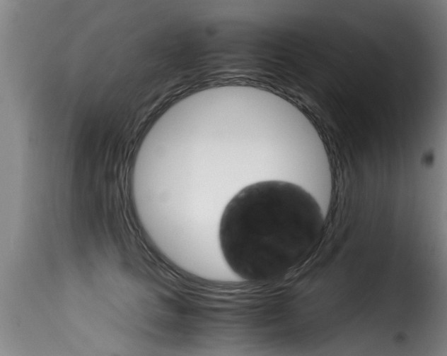 X0000116060661200911201202
