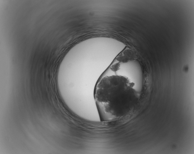 X0000116060662200911201202